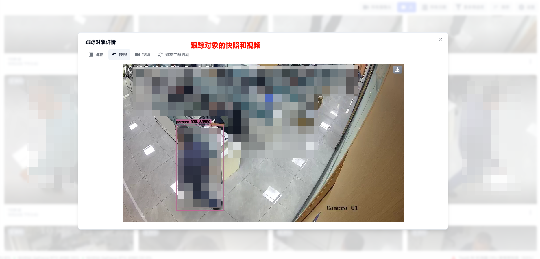 AI7-追踪人生命周期1-快照和视频